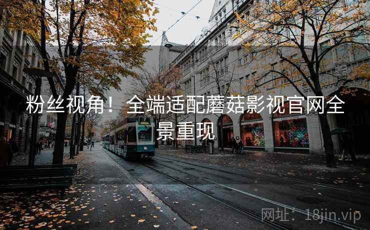 粉丝视角！全端适配蘑菇影视官网全景重现