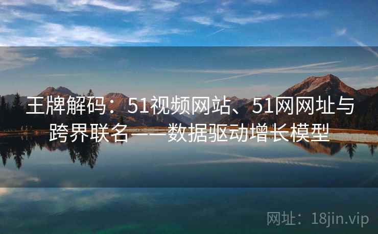 王牌解码：51视频网站、51网网址与跨界联名——数据驱动增长模型