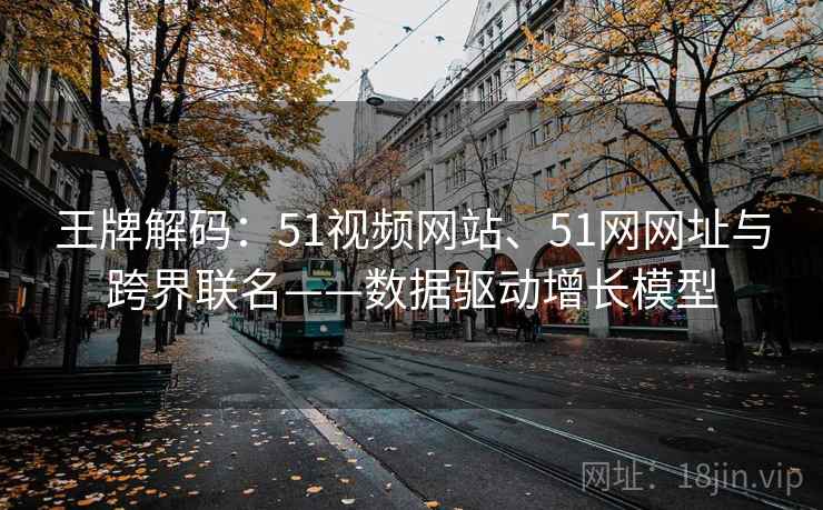王牌解码：51视频网站、51网网址与跨界联名——数据驱动增长模型