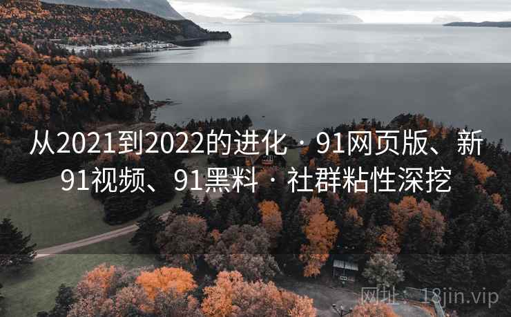从2021到2022的进化 · 91网页版、新91视频、91黑料 · 社群粘性深挖