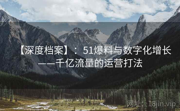 【深度档案】：51爆料与数字化增长——千亿流量的运营打法