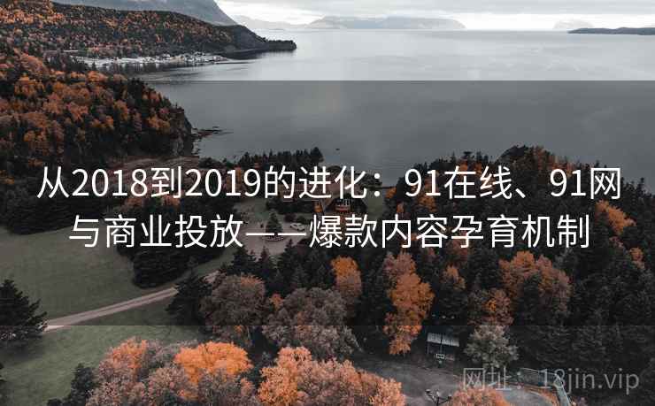 从2018到2019的进化：91在线、91网与商业投放——爆款内容孕育机制