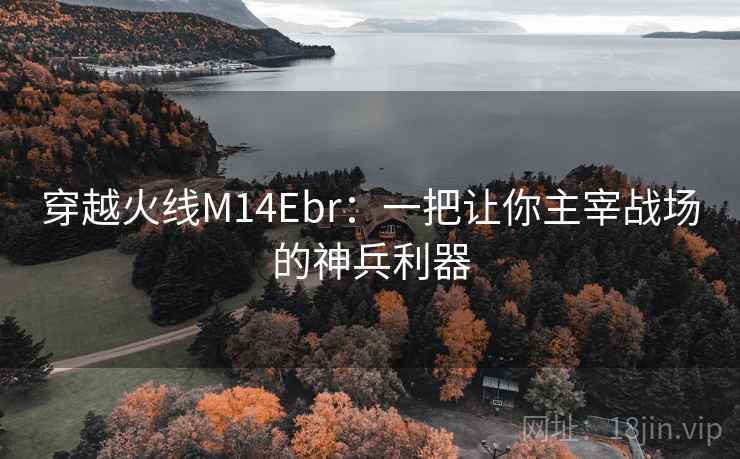 穿越火线M14Ebr：一把让你主宰战场的神兵利器