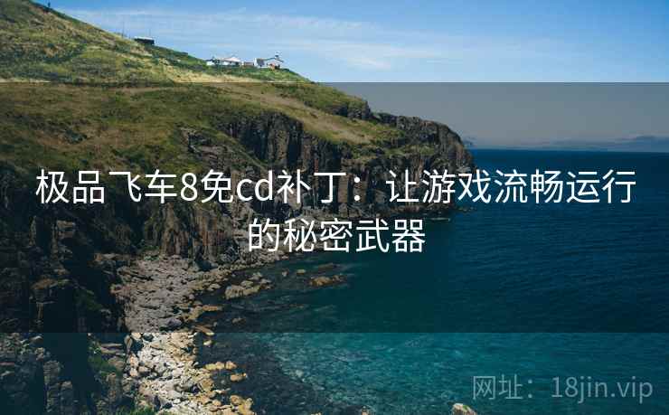 极品飞车8免cd补丁：让游戏流畅运行的秘密武器