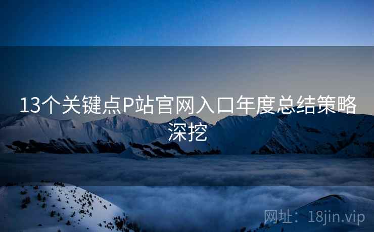 13个关键点P站官网入口年度总结策略深挖