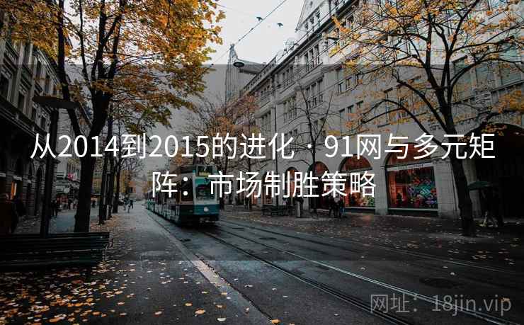 从2014到2015的进化 · 91网与多元矩阵：市场制胜策略
