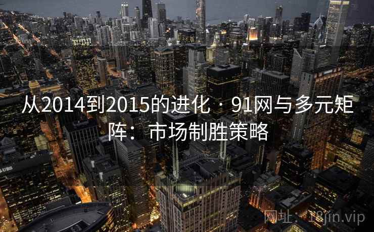 从2014到2015的进化 · 91网与多元矩阵：市场制胜策略