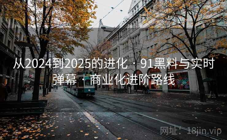 从2024到2025的进化 · 91黑料与实时弹幕 · 商业化进阶路线
