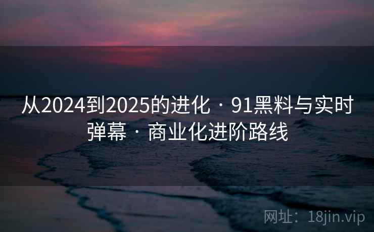 从2024到2025的进化 · 91黑料与实时弹幕 · 商业化进阶路线