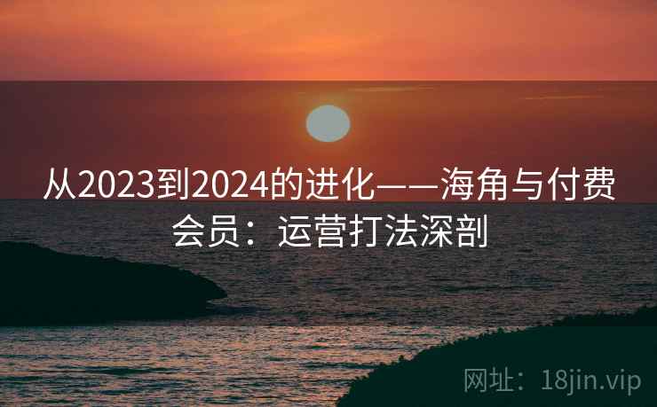 从2023到2024的进化——海角与付费会员：运营打法深剖