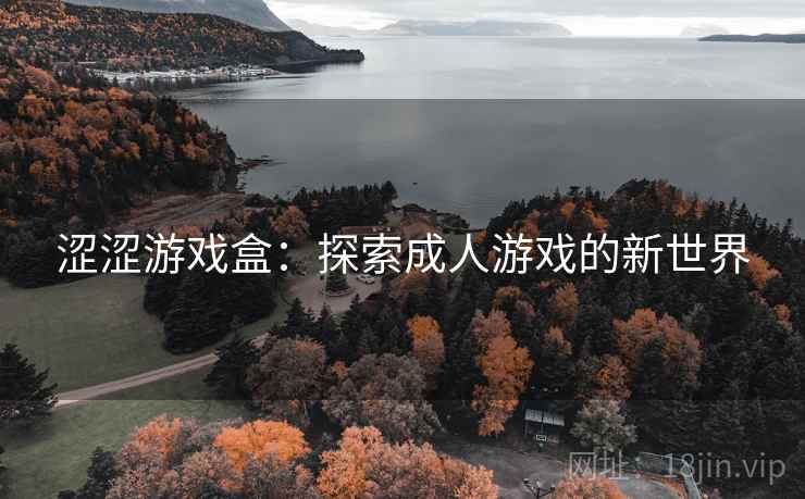 涩涩游戏盒：探索成人游戏的新世界