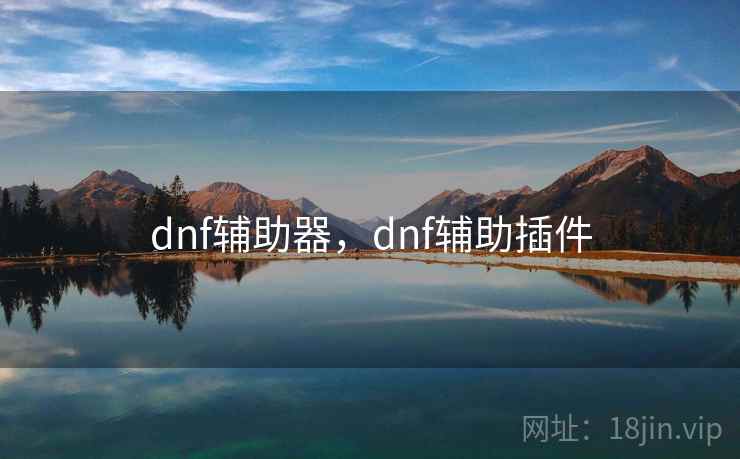 dnf辅助器，dnf辅助插件