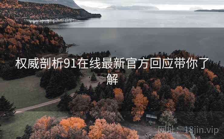 权威剖析91在线最新官方回应带你了解